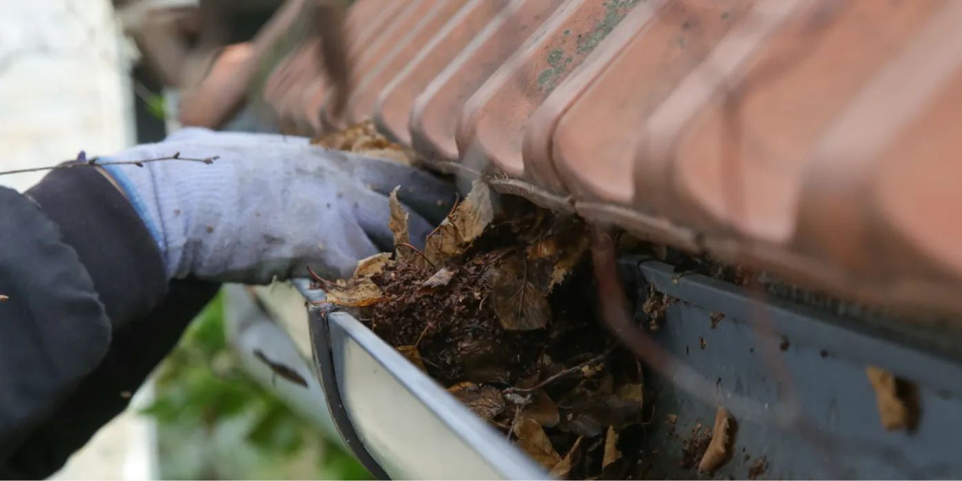 Gutters Cleaning 1